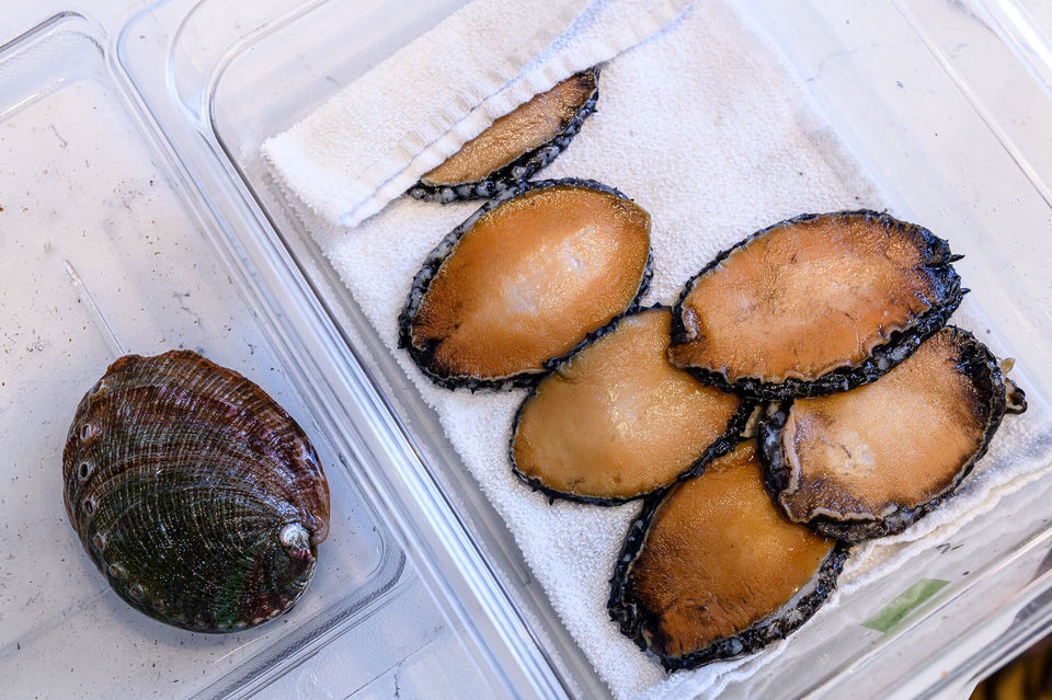 local abalone